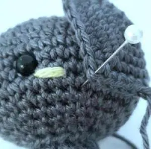 Back corner of the ear pinned to the head
